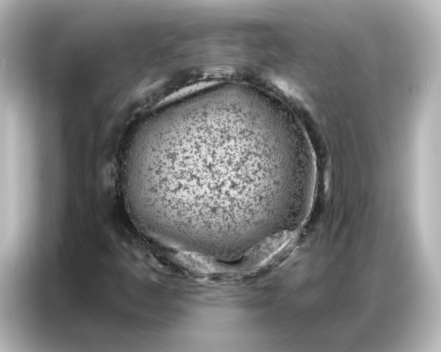 X0000087001445200704301348