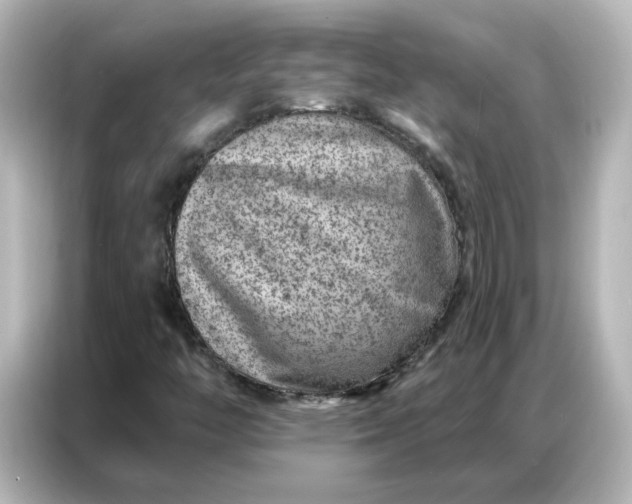 X0000087001446200704301348