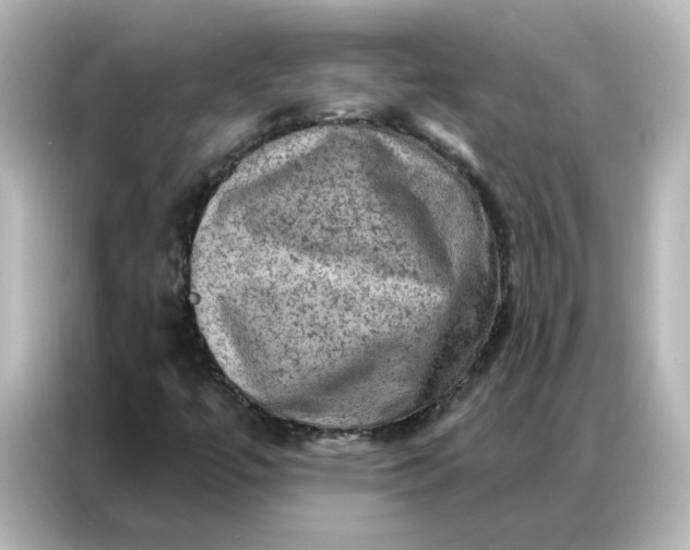 X0000087001447200704301348