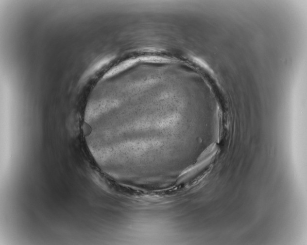 X0000087001448200704301348