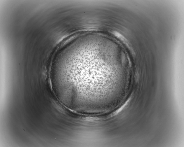 X0000087001449200704301348