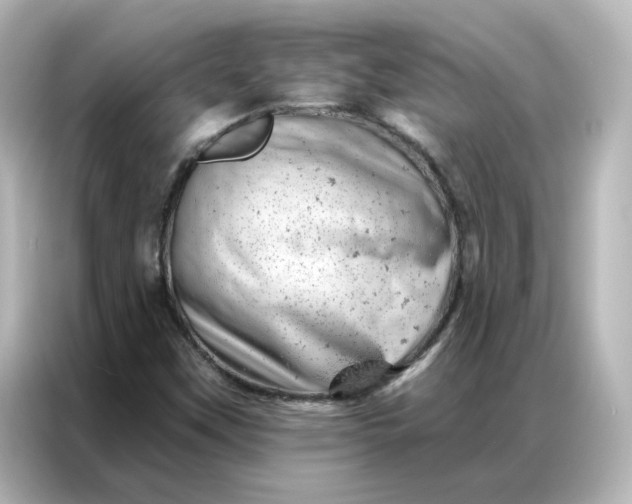 X0000087001451200704301348