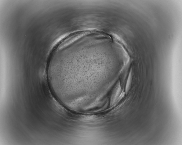 X0000087001452200704301348