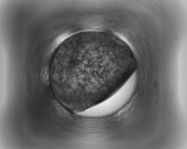 X0000087001455200704301348
