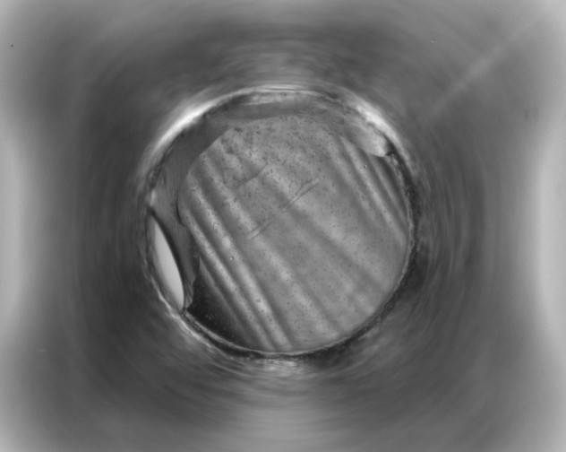 X0000087001456200704301348