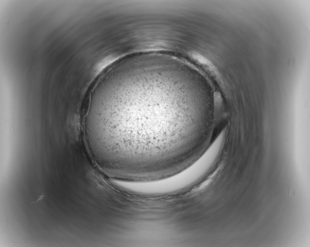 X0000087001457200704301348
