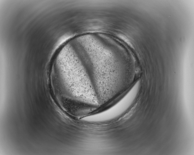 X0000087001458200704301348