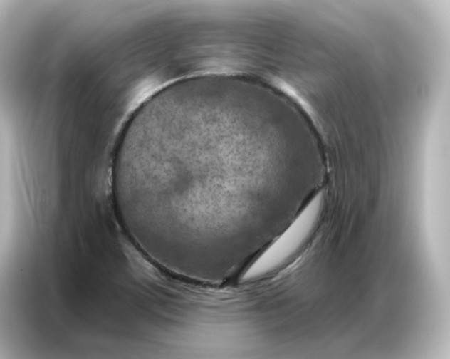 X0000087001459200704301348