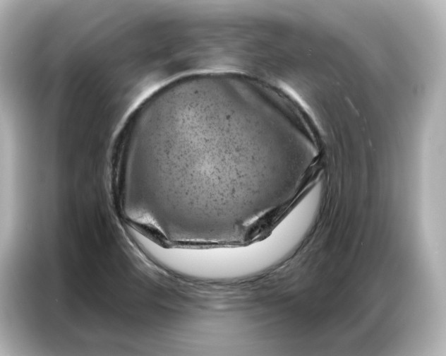 X0000087001460200704301348