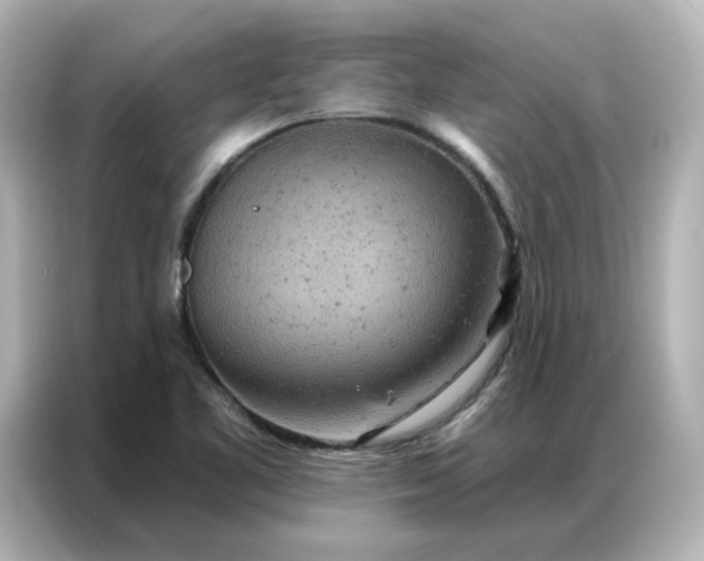 X0000087001461200704301348