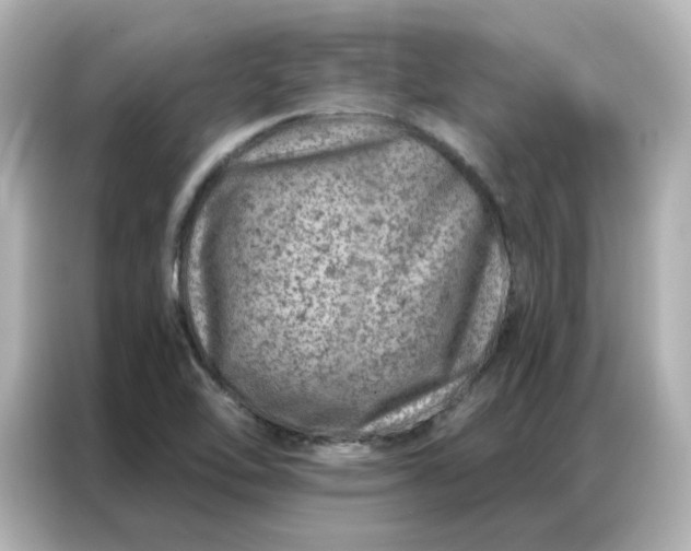 X0000087001462200704301348