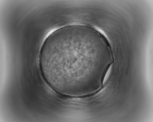 X0000087001463200704301348