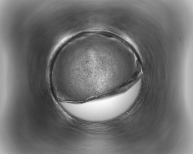 X0000087001464200704301348