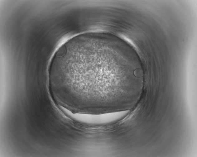 X0000087001467200704301348