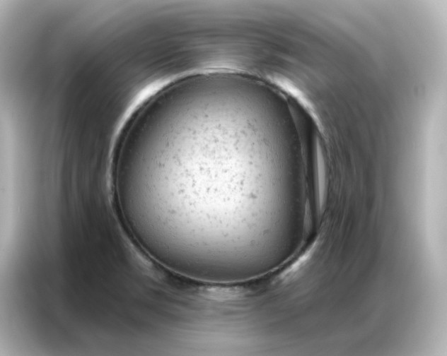 X0000087001469200704301348