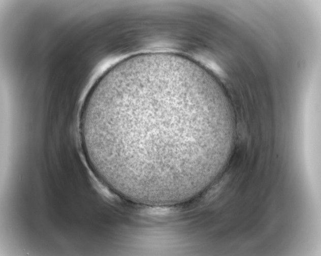 X0000087001470200704301348