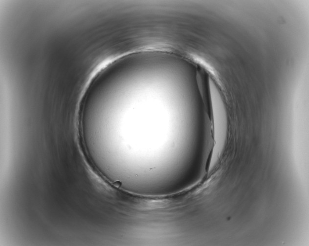 X0000087001471200704301348