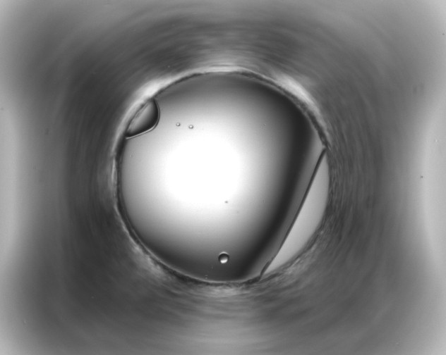 X0000087001472200704301348
