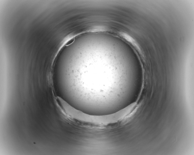 X0000087001473200704301348