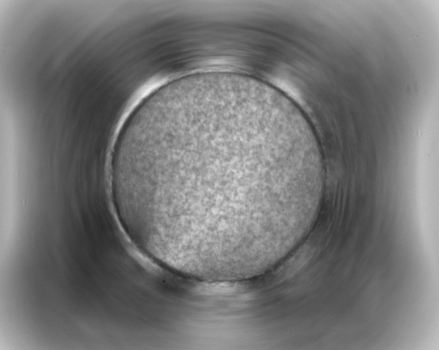 X0000087001474200704301348