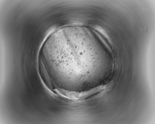 X0000087001475200704301348