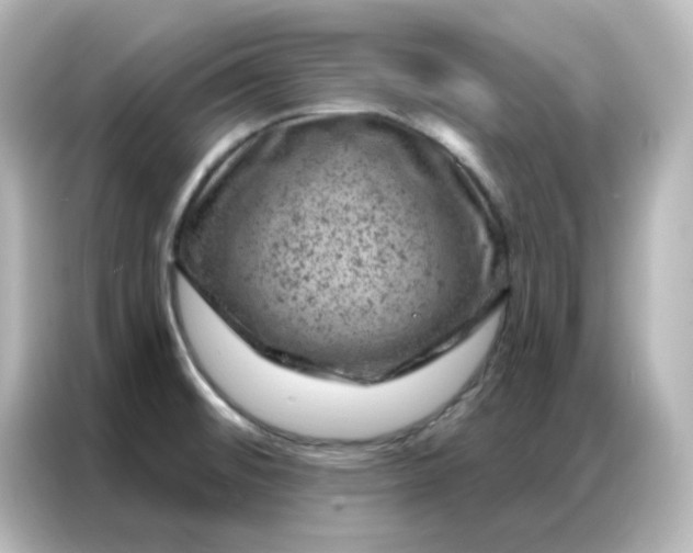X0000087001476200704301348
