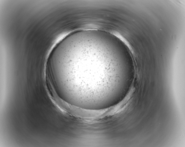 X0000087001477200704301348