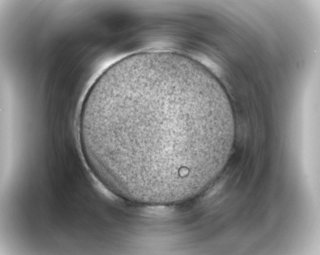 X0000087001478200704301348