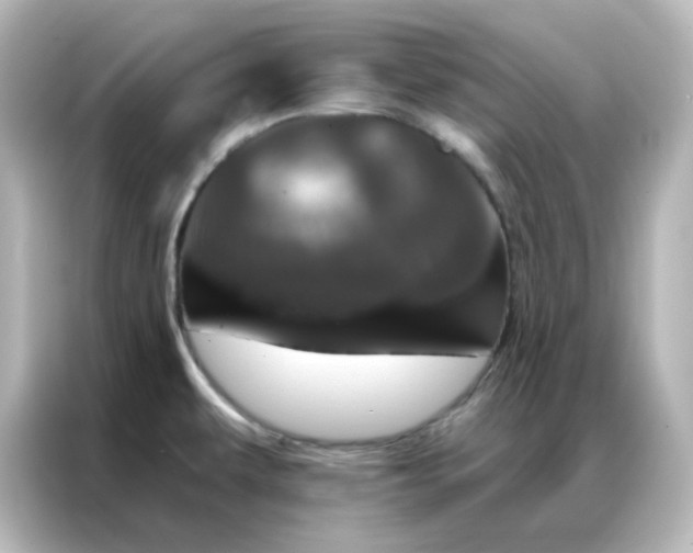 X0000087001479200704301348