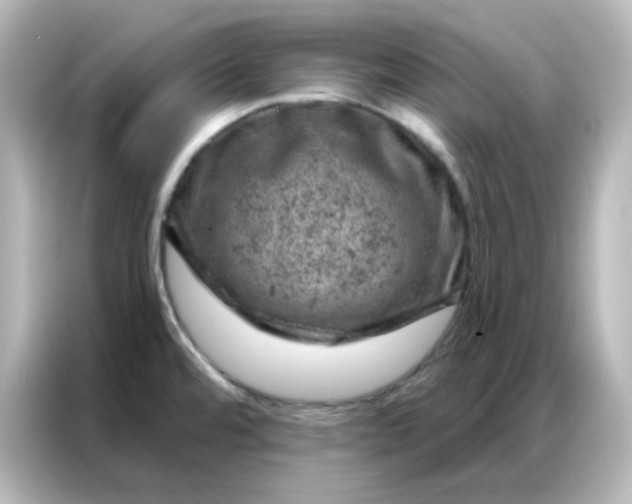 X0000087001480200704301348