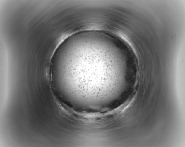 X0000087001481200704301347