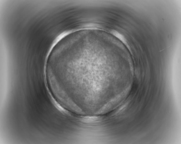 X0000087001482200704301347