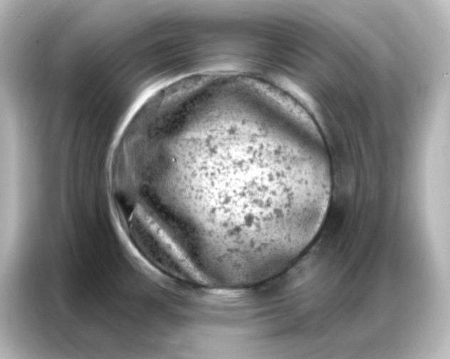 X0000087001483200704301347