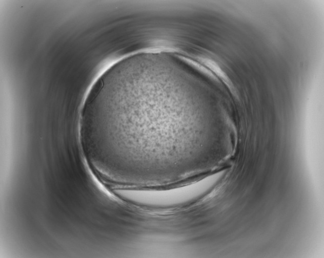 X0000087001484200704301347