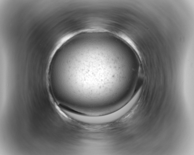 X0000087001485200704301347
