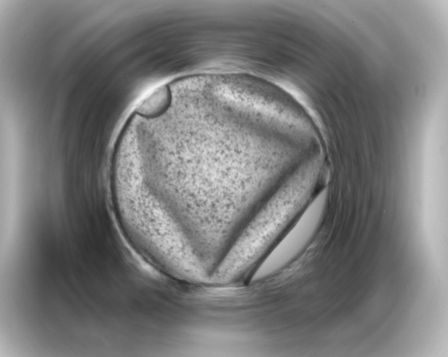 X0000087001486200704301347