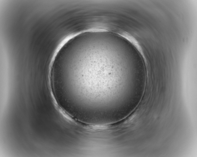 X0000087001488200704301347