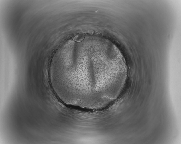 X0000087001489200704301347