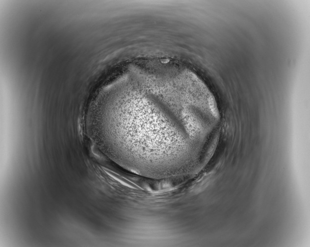 X0000087001490200704301347
