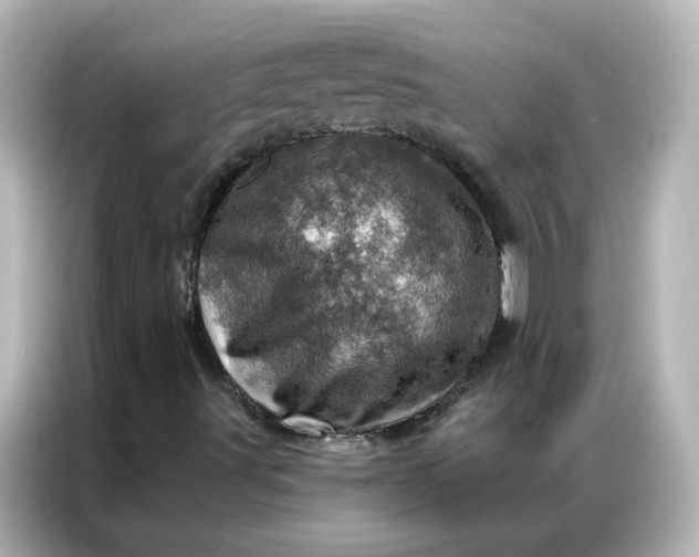X0000087001491200704301347