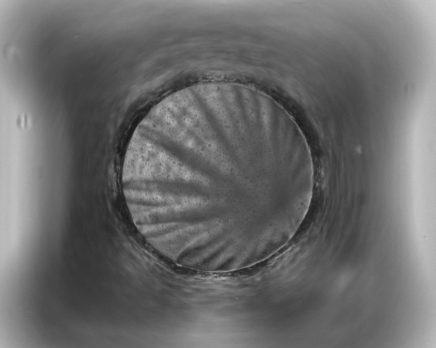X0000087001493200704301347