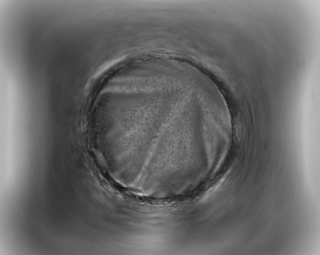 X0000087001494200704301347