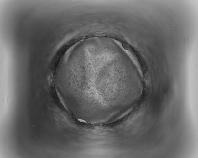 X0000087001495200704301347