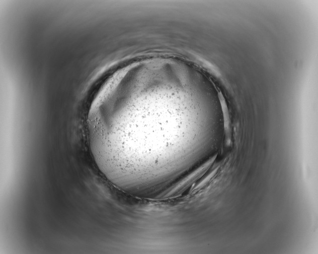 X0000087001496200704301347