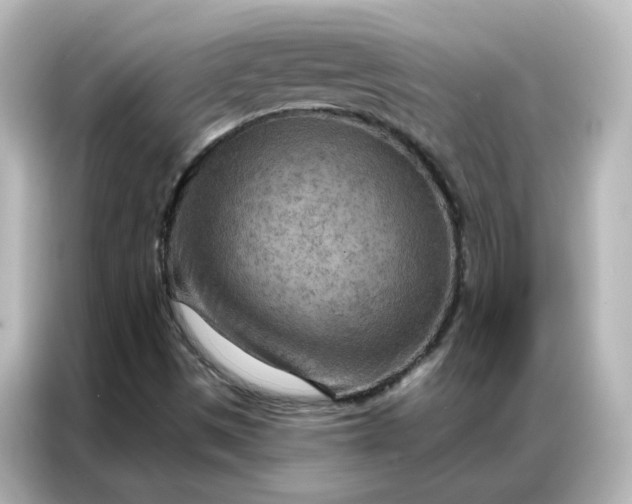 X0000087001497200704301347