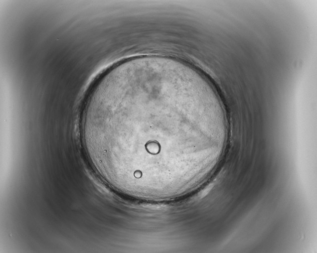 X0000087001498200704301347