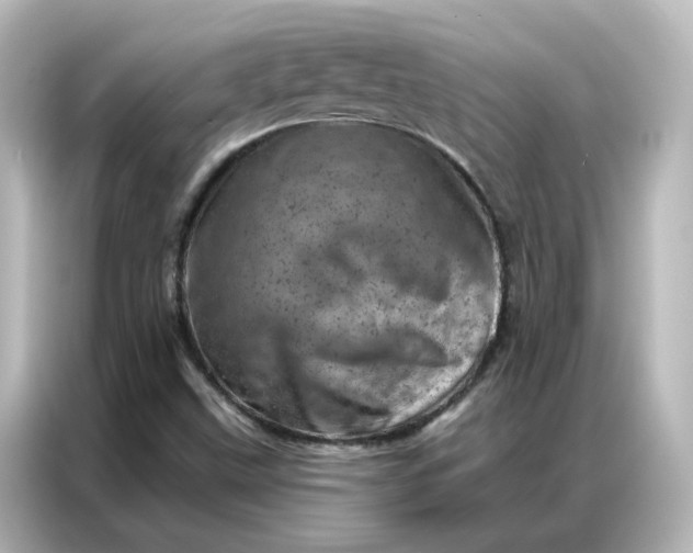 X0000087001499200704301347