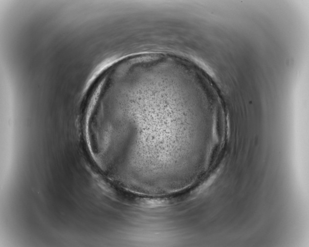 X0000087001501200704301347