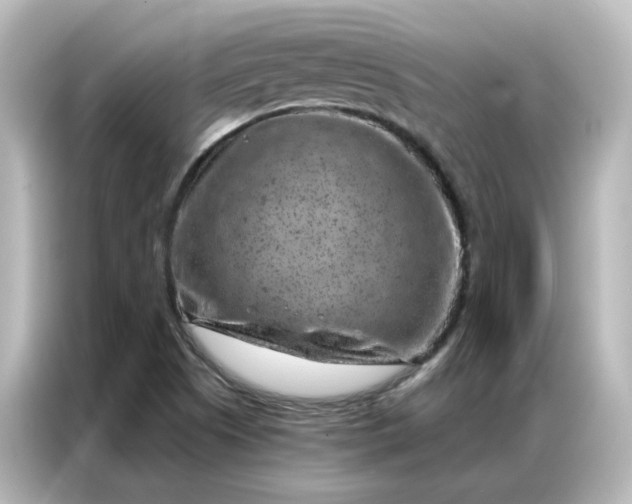 X0000087001505200704301347