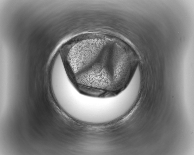 X0000087001506200704301347